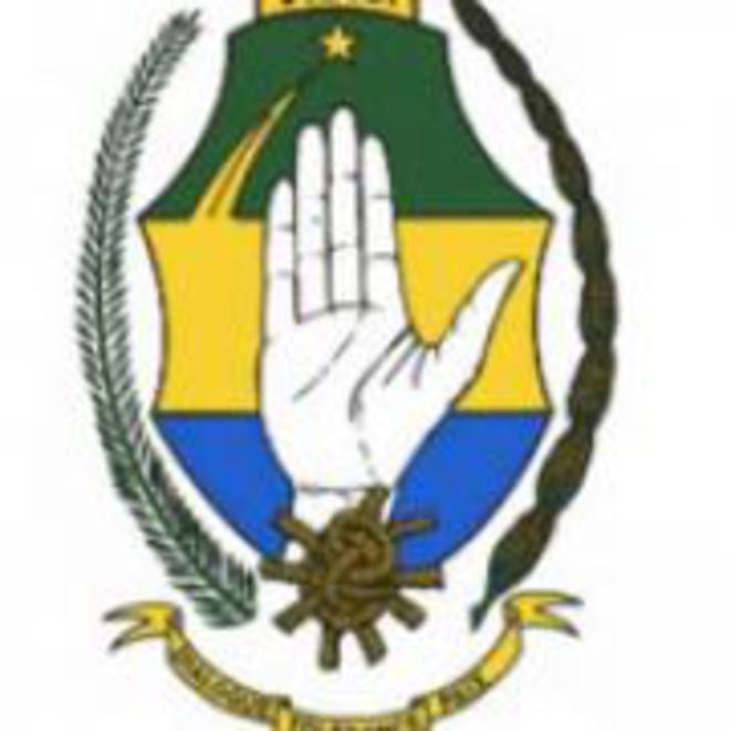 12 mars 2019: Le Parti Démocratique Gabonais (PDG) au pouvoir, Fixe le cap.