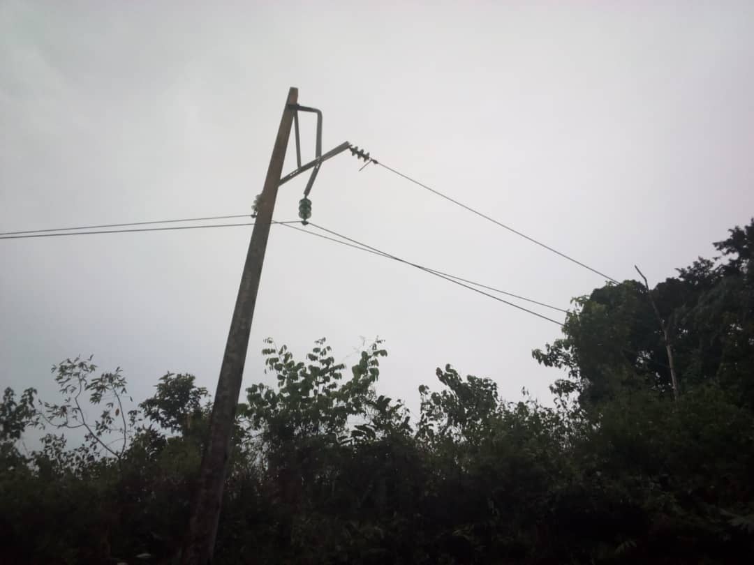 Urgent Urgent/Un arbre prive Les villes de Bongoville et Leconi d’électricité
