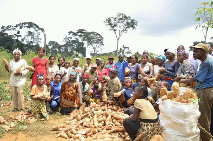 Gabon/insécurité Alimentaire: un plan d’urgence s’impose « Dieudonné MINLAMA MINTOGO »   