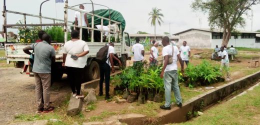 Gabon/Environnement Nzila Leader continue avec la promotion de sa campagne de planting de 1000 arbres